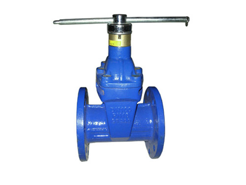 磁性锁闭弹性座封闸阀